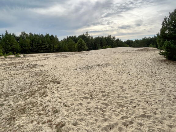 23-09-18 16-15-18 7055